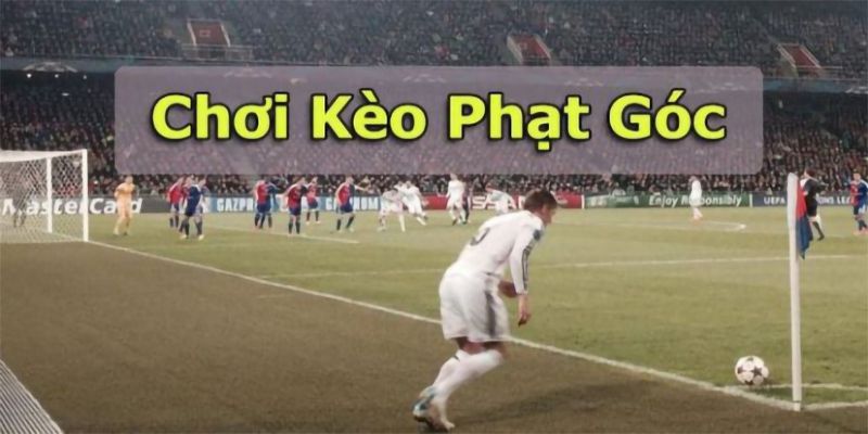 Kèo phạt góc Vz99